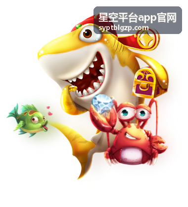 星空平台app官网平台功能解读