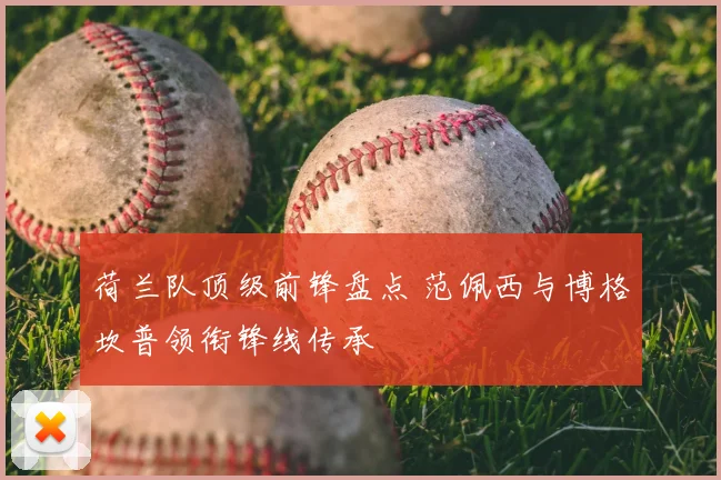 荷兰队顶级前锋盘点 范佩西与博格坎普领衔锋线传承