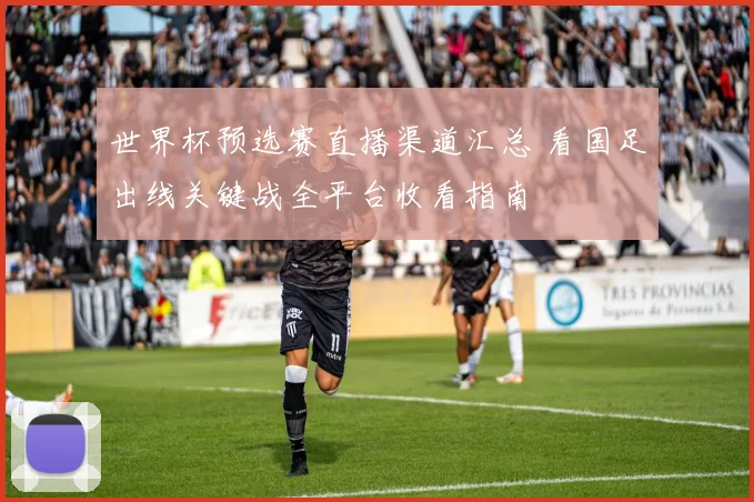 世界杯预选赛直播渠道汇总 看国足出线关键战全平台收看指南