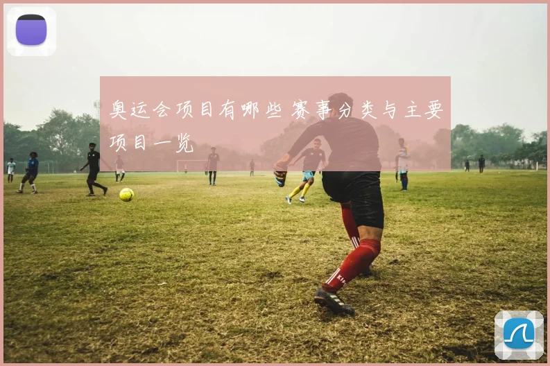 奥运会项目有哪些 赛事分类与主要项目一览