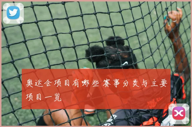 奥运会项目有哪些 赛事分类与主要项目一览