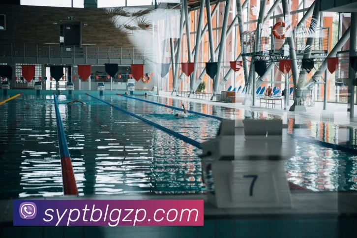 巅峰国际pg下载官网平台生态图