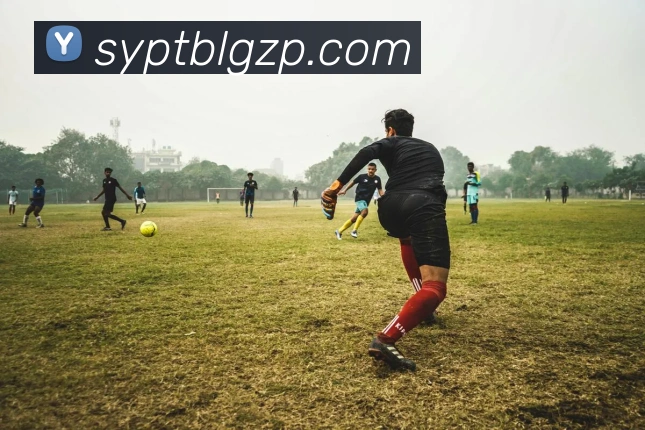 巅峰国际pg下载官网全站App